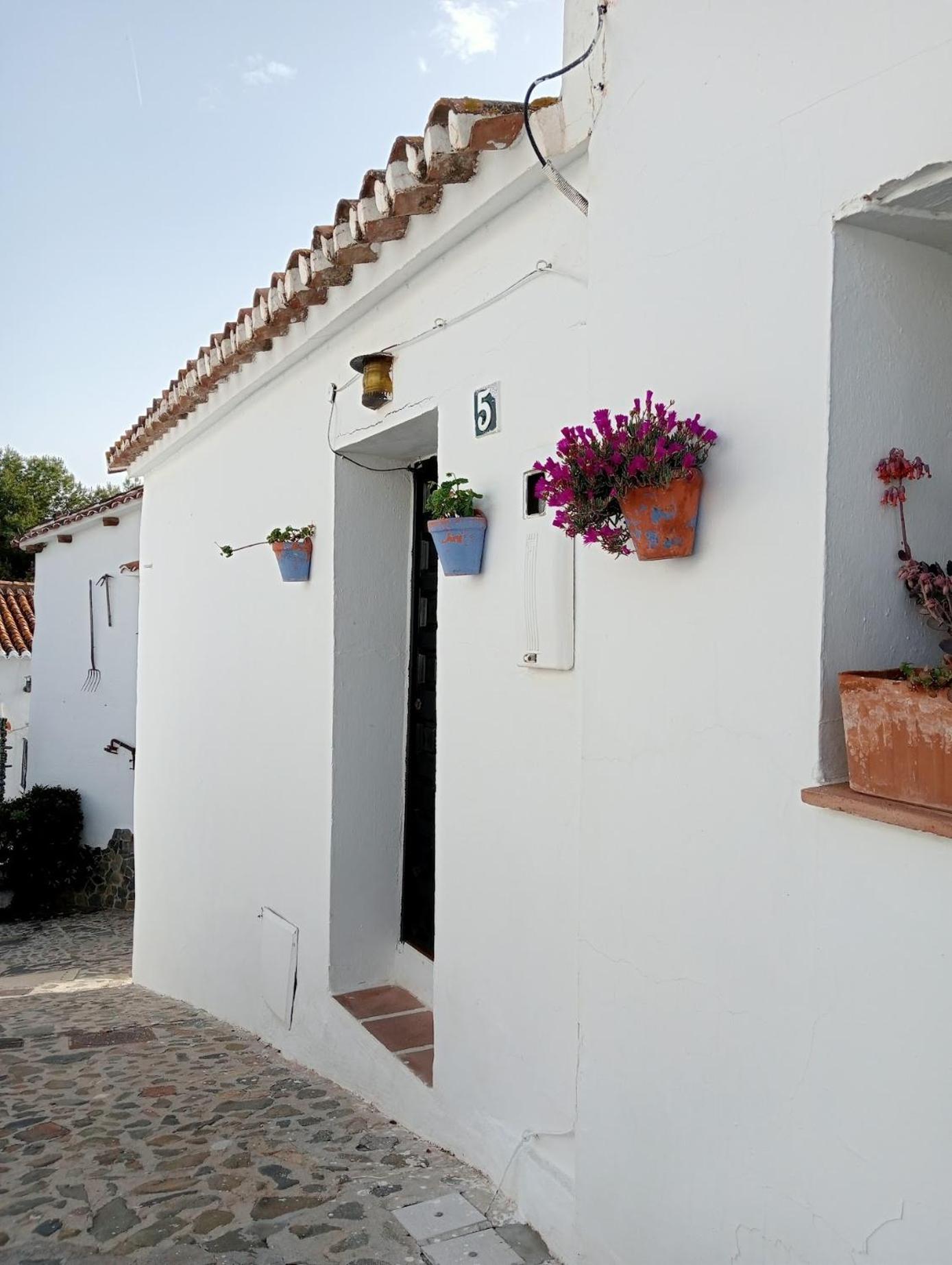 Jardin De Mucho Apartment Macharaviaya Exterior photo