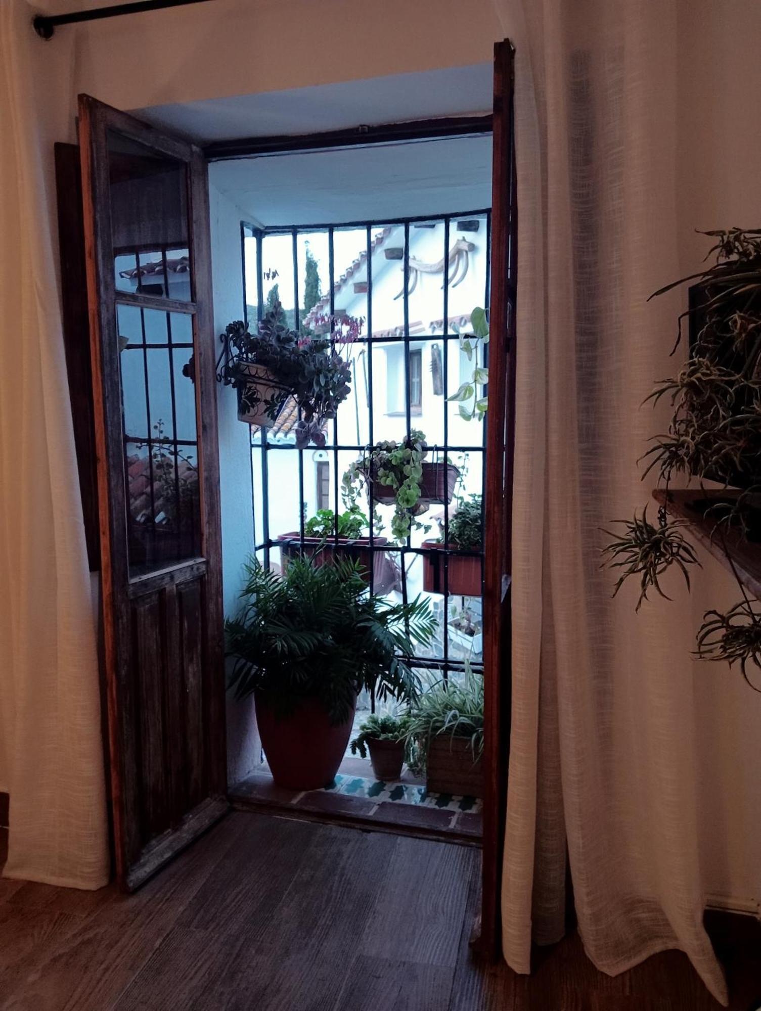 Jardin De Mucho Apartment Macharaviaya Exterior photo