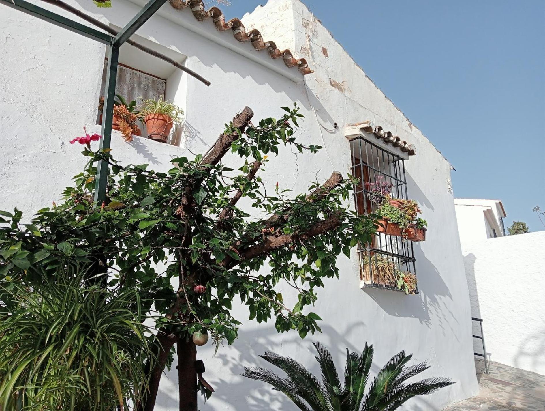 Jardin De Mucho Apartment Macharaviaya Exterior photo